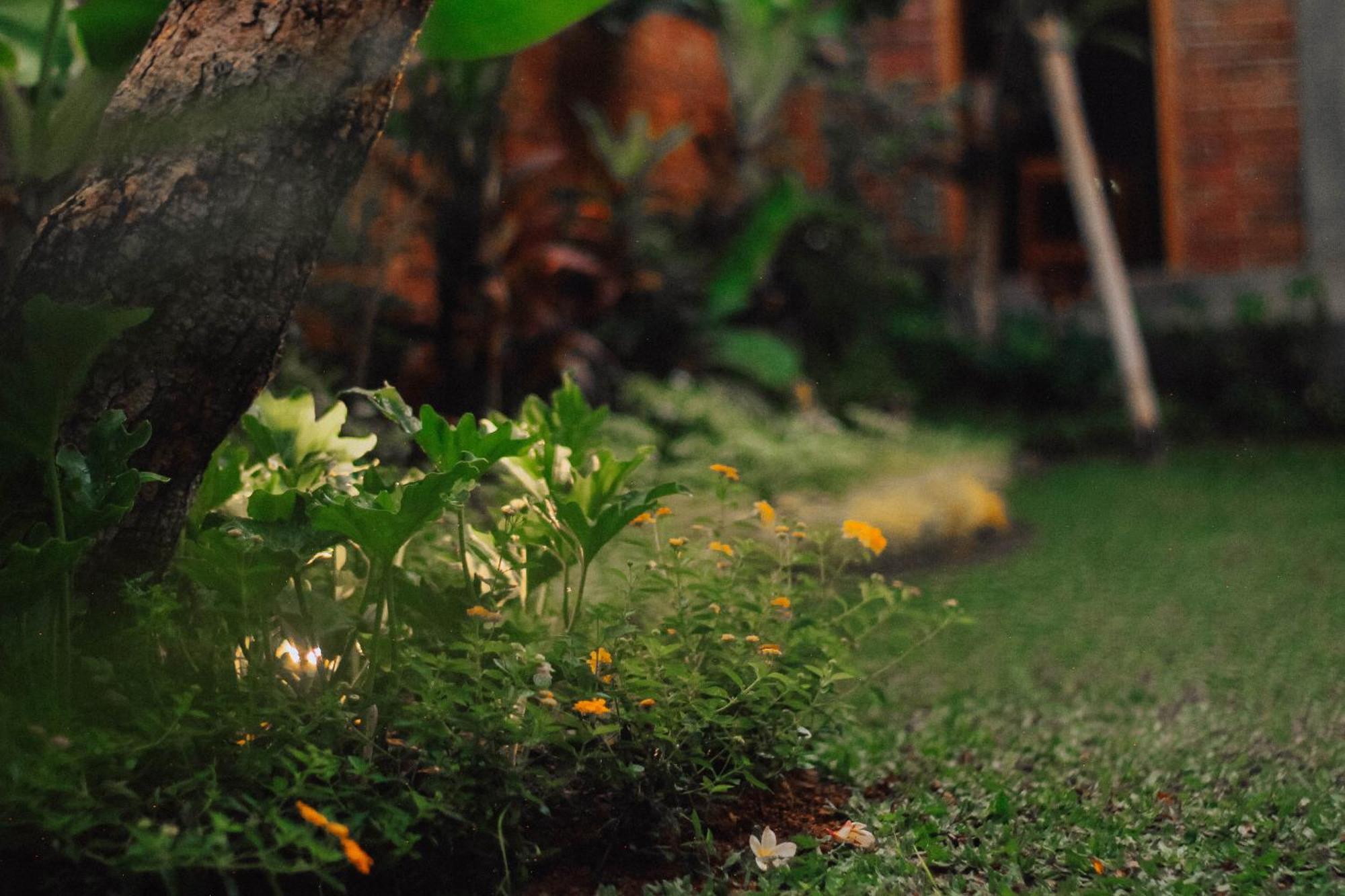 The Govardhan Homestay Canggu Εξωτερικό φωτογραφία